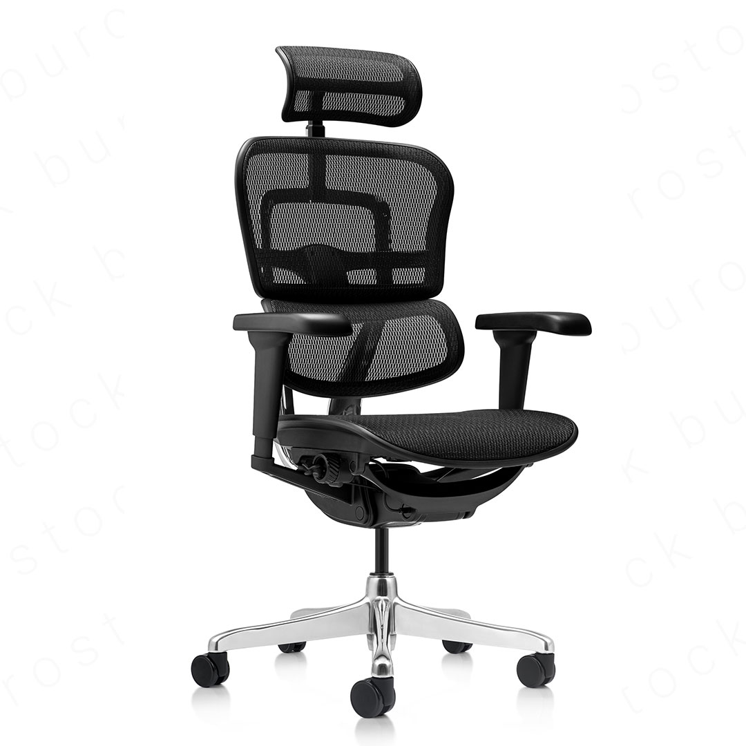 Fauteuil de bureau ergonomique usage intensif ERGOHUMAN