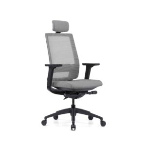 Fauteuil de bureau ergonomique Vix gris