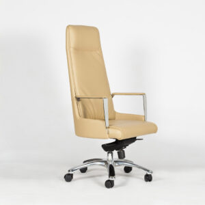 Fauteuil Direction Cuir luxe au design séduisant, en promo, Eve - Mobilier de  bureau professionnel