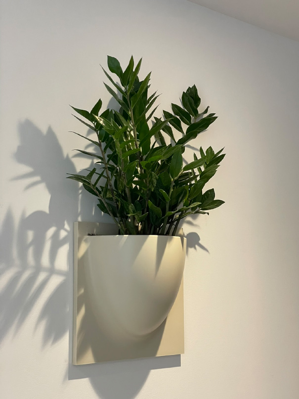 amenagement bureau mur vegetal