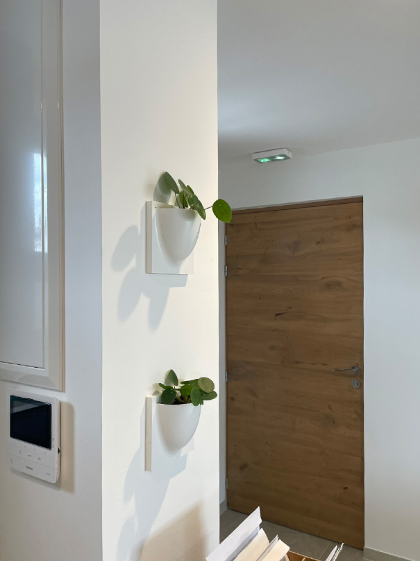 amenagement bureau mur vegetal