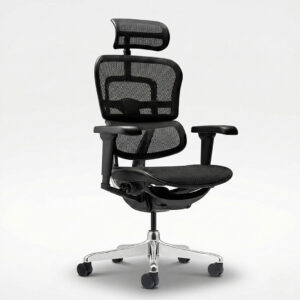 Fauteuil ergonomique ERGOHUMAN