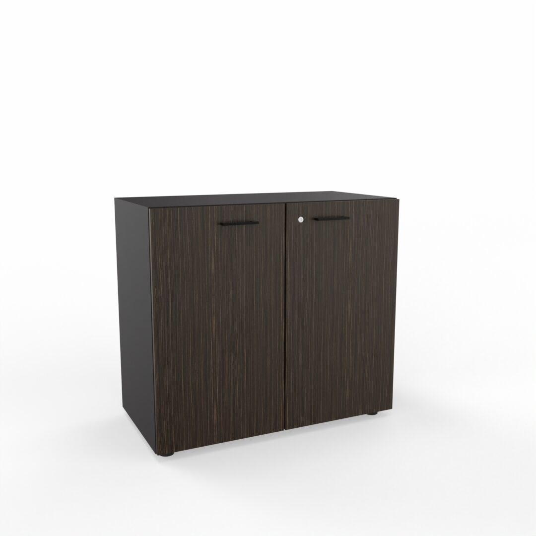 Amoires deux portes CARINO H81 peuplier brun