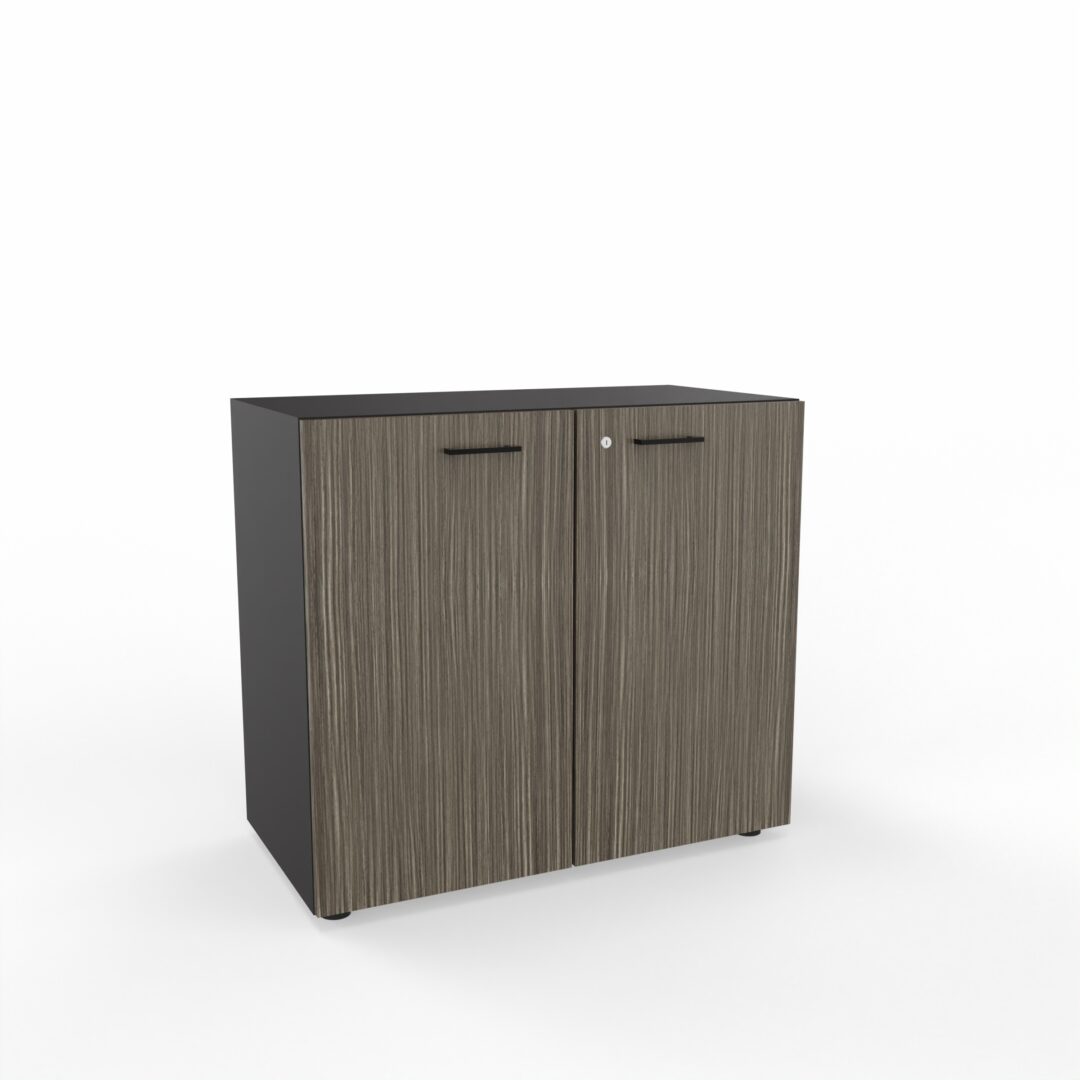 Amoires deux portes CARINO H81peuplier clair