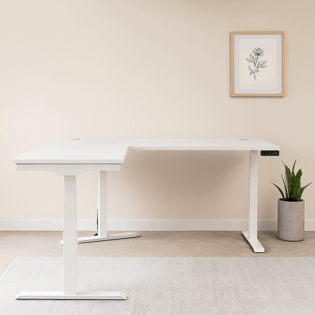 image ambiance bureau elektro avec retour 3