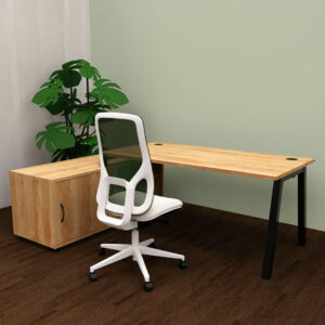 Bureau PARIS avec bbox nebraska pieds noirs ambiance